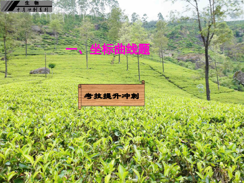 中考生物冲刺复习 考技提升 专题一 识图解图一 坐标曲线题课件