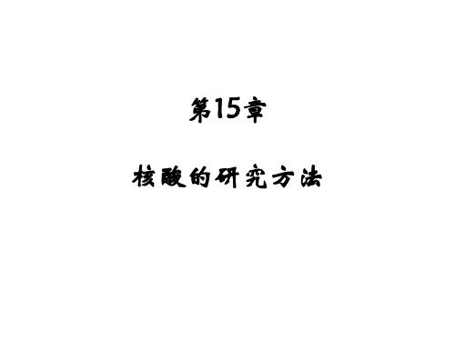第15章 核酸的研究方法