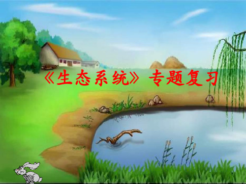 专题一、生态系统复习课件