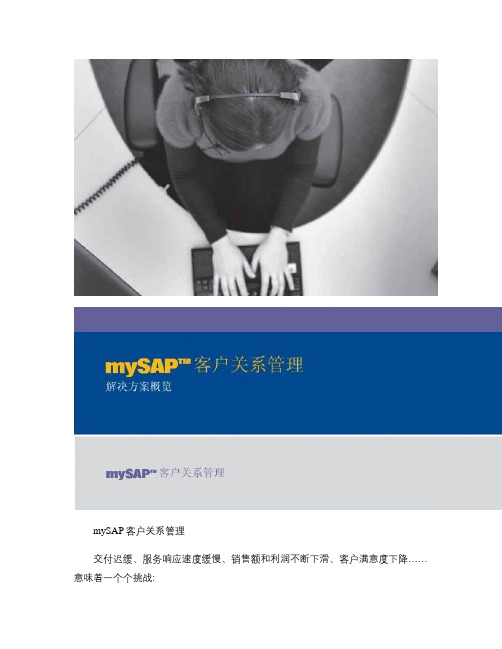SAPCRM客户关系管理解决方案概览.