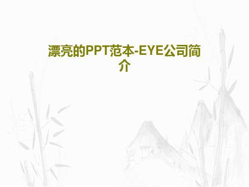 漂亮的PPT范本-EYE公司简介共22页文档