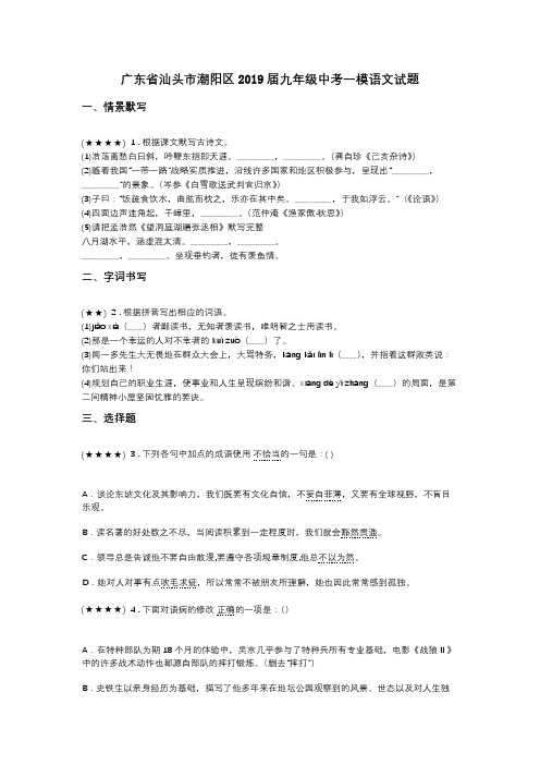 广东省汕头市潮阳区2019届九年级中考一模语文试题