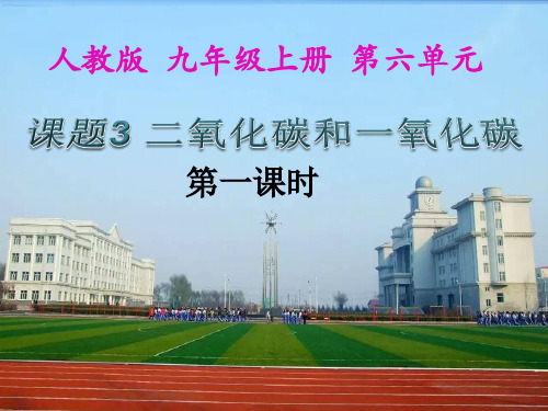 人教版九年级化学上册第6单元3二氧化碳和一氧化碳(共24张PPT)