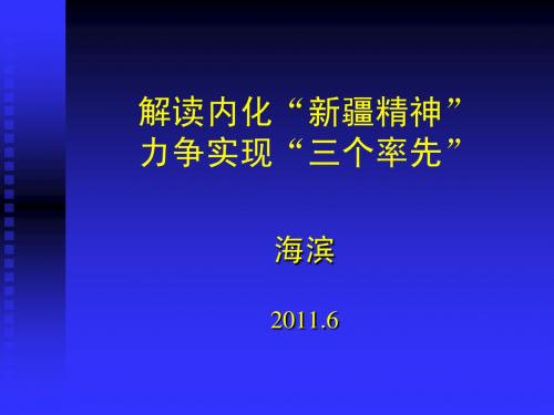 解读新疆精神稿