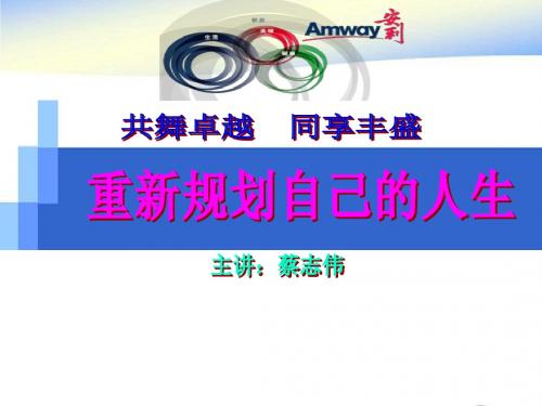 2013OPP安利事业计划