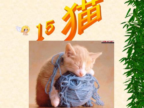 小学四年级上册语文第十五课猫PPT课件2