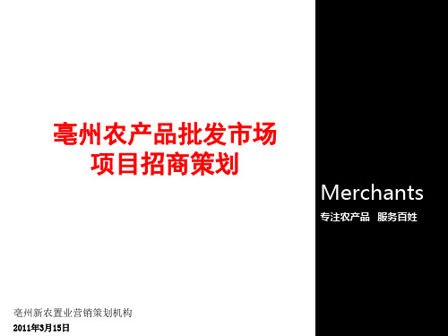 农产品公司招商营销策划方案.pptx
