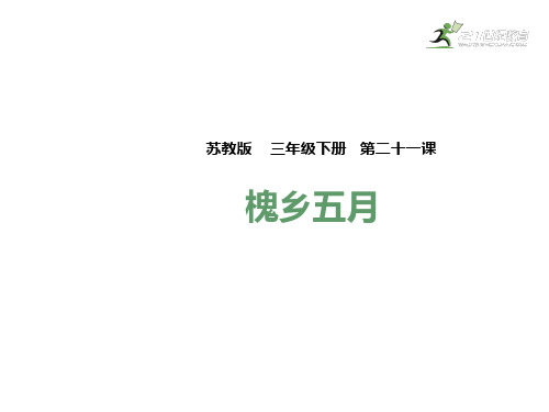 苏教版三年级语文下册课件-21槐乡五月