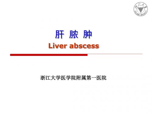 肝脓肿 医学教学课件