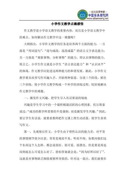 小学作文教学点滴感悟