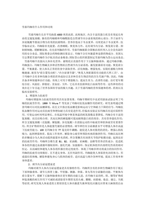 玛咖有什么作用和功效