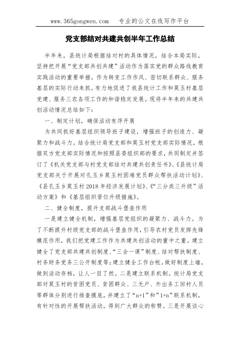 党支部结对共建共创半年工作总结