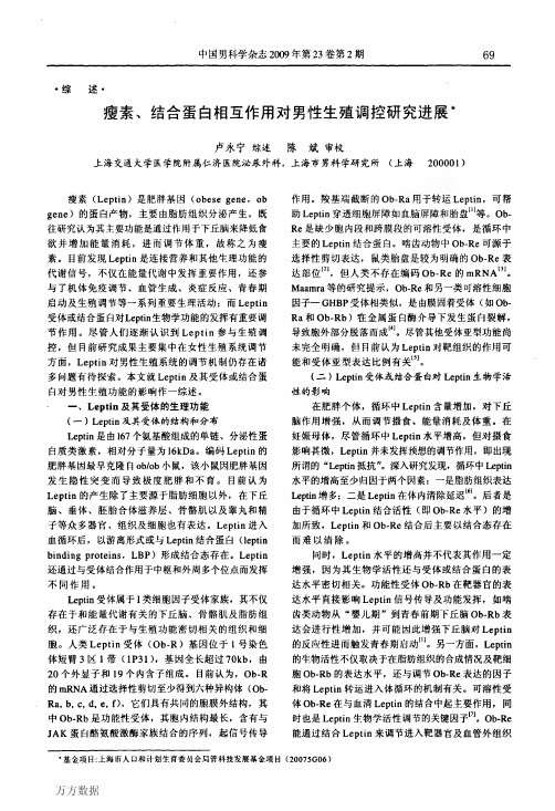 瘦素、结合蛋白相互作用对男性生殖调控研究进展