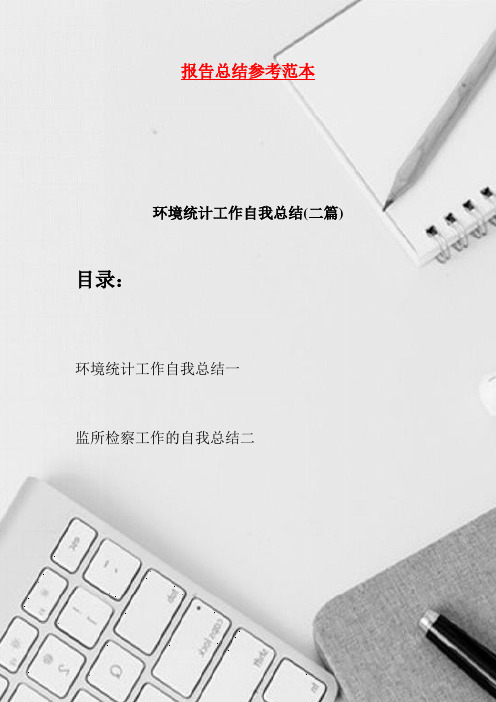 环境统计工作自我总结·二篇(2021)
