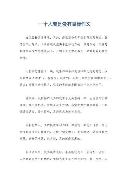 一个人若是没有目标作文