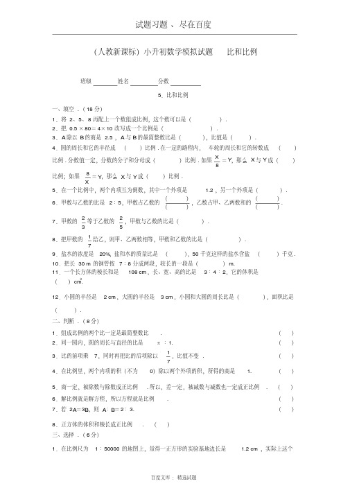 人教版六年级数学小升初专题练习：比和比例