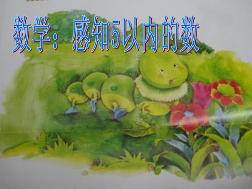 小班数学《感知5以内的数》ppt课件