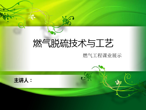 燃气脱硫技术与工艺展示ppt课件