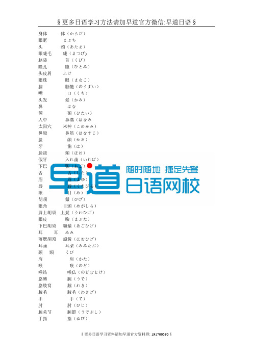 人体名称对应日语大全