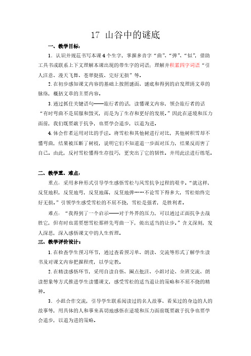 [VIP专享]17 山谷中的谜底