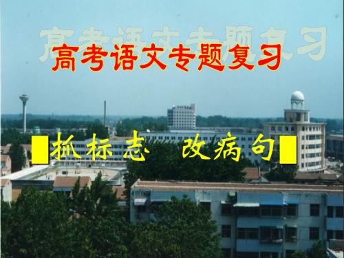 2011届高考语文一轮复习修改