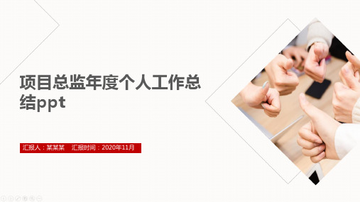 项目总监年度个人工作总结ppt