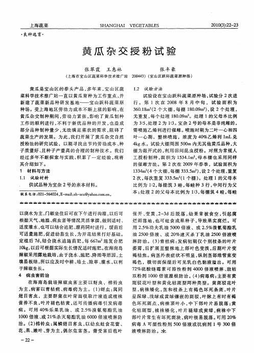 黄瓜杂交授粉试验