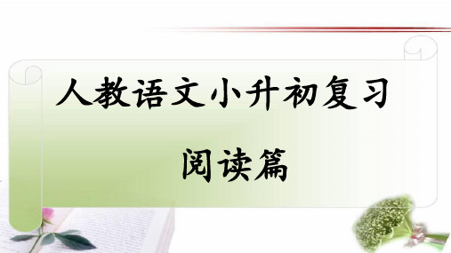 人教版小学语文小升初总复习之阅读专项复习课件