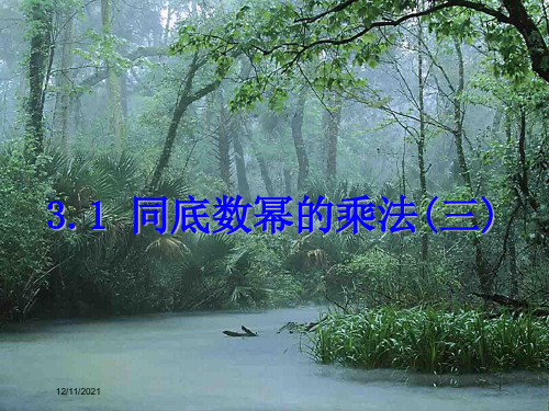 七年级数学下册 第三章 整式的乘除 3.1 同底数幂的乘法(三)课件浙教级下册数学课件