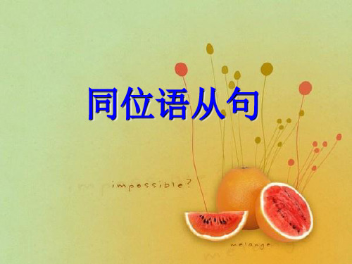 高考英语同位语从句课件(共32张PPT)