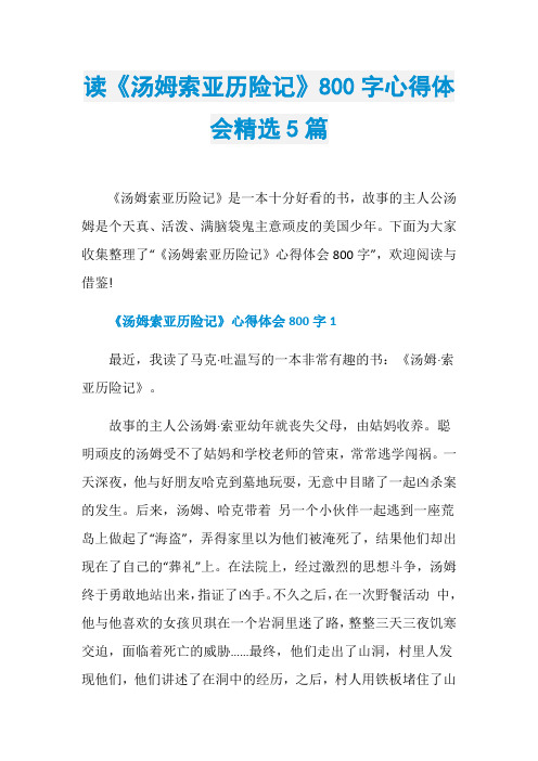 读《汤姆索亚历险记》800字心得体会精选5篇