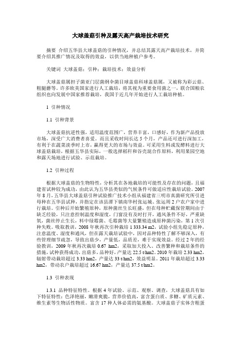 大球盖菇引种及露天高产栽培技术研究
