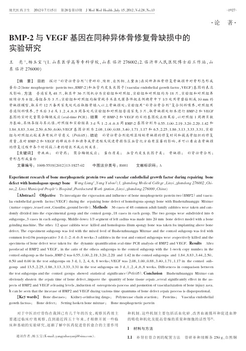 BMP-2与VEGF基因在同种异体骨修复骨缺损中的实验