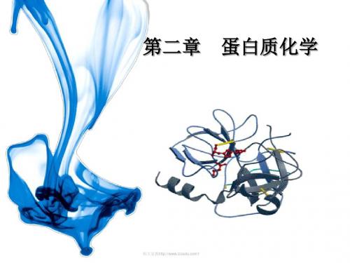 第三章 蛋白质化学