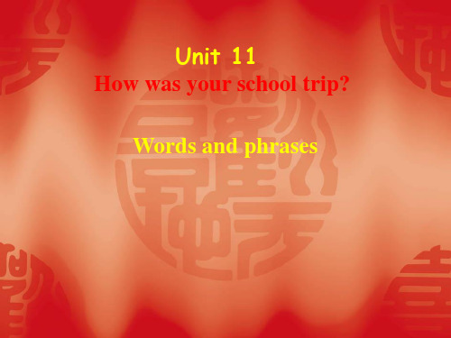 初中英语七年级下册Unit11new words and phrases教学课件