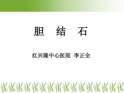 胆石症--李正全