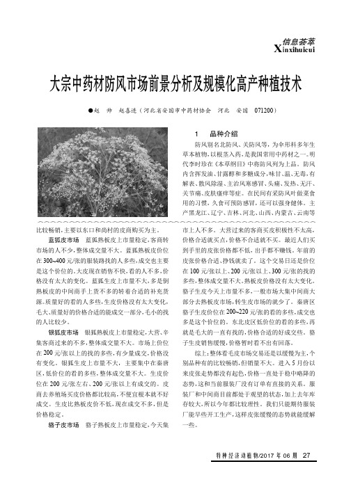 大宗中药材防风市场前景分析及规模化高产种植技术