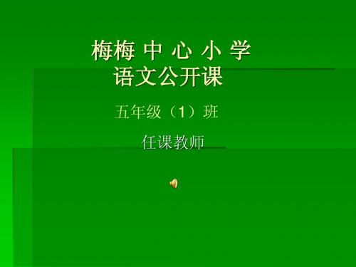 黄道婆ppt课件