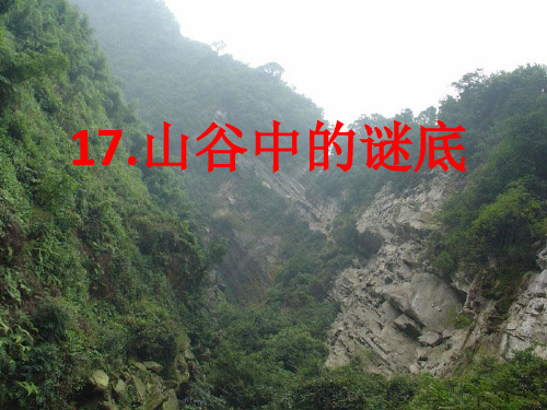 六年级下册语文课件-课文17 山谷中的谜底｜苏教版 (共22张PPT)