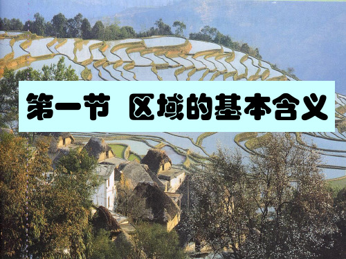 区域的基本含义PPT