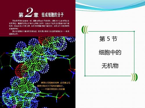 1.2.5细胞中的无机物