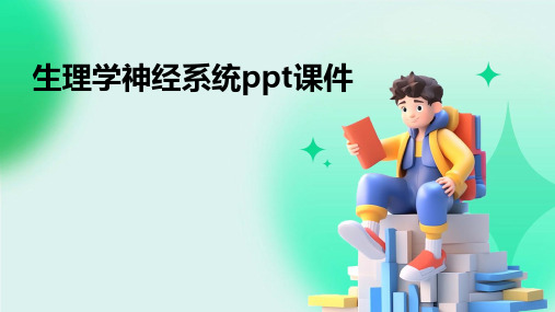 生理学神经系统ppt课件