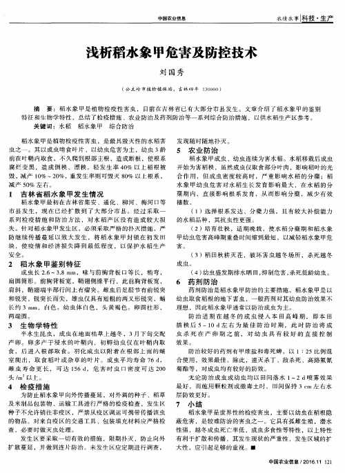 浅析稻水象甲危害及防控技术