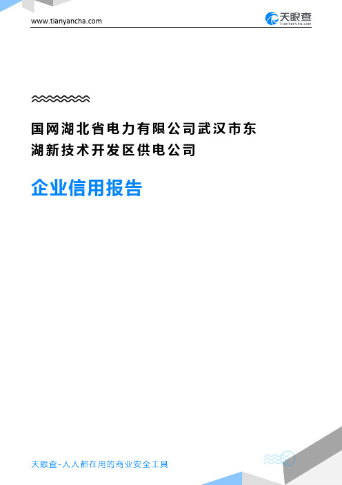 国网湖北省电力有限公司武汉市东湖新技术开发区供电公司(企业信用报告)- 天眼查