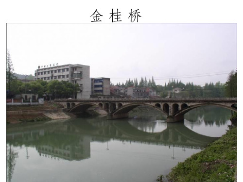 《桥》写作指导ppt教学课件