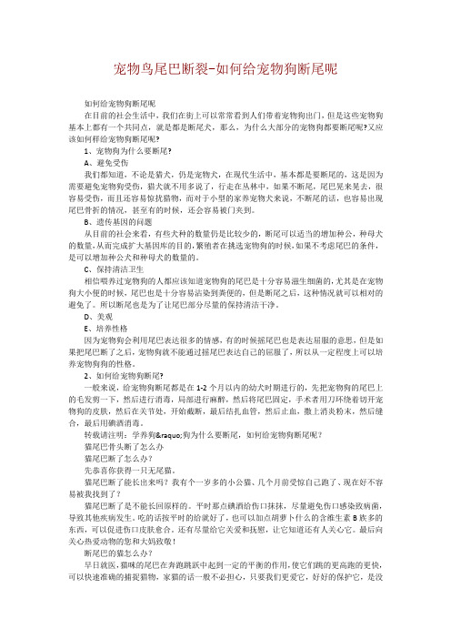 宠物鸟尾巴断裂-如何给宠物狗断尾呢