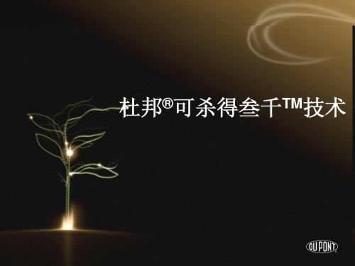 可杀得叁千最新