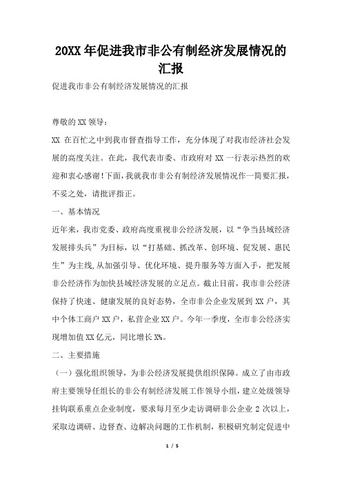 2019年促进我市非公有制经济发展情况的汇报