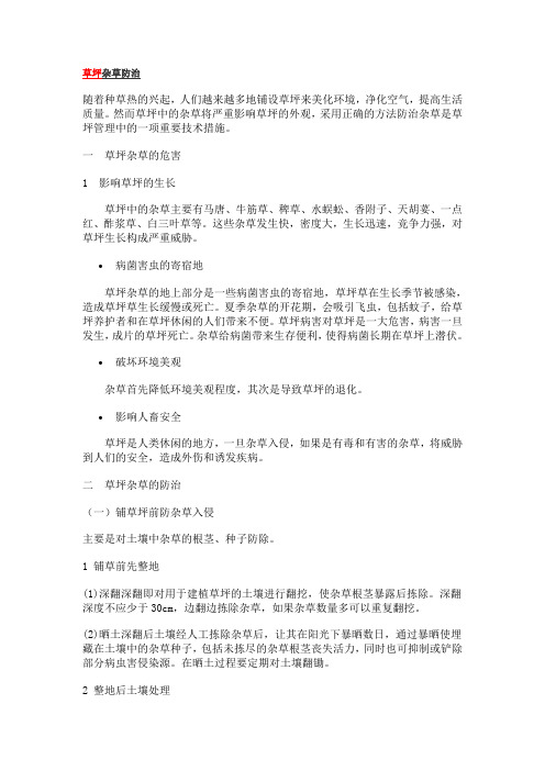 草坪杂草防治