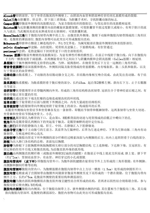 名词解释 (2)